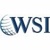 WSI - MaxNet Solutions Inc. Logo