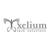 Xeliumtech Solutions Logo