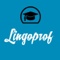 lingoprof-translation