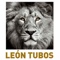 leon-tubos