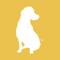 yellowdog-denver