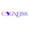 cogneiss-systems