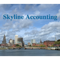 skyline-accounting