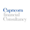 capricorn-financial-consultancy