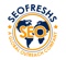 seo-freshs-global-outreach-company