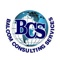 balcom-consulting-services