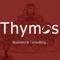 thymos-business-consulting