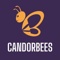 candorbees-technologies-private