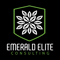 emerald-elite-consulting