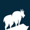 mountain-goat-websites