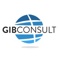 gib-consult-your-translation-experts