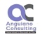 anguiano-consulting