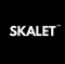 skalet-agency-best-website-design-development-agency-delhi