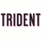 trident-computer-services