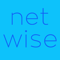 netwise-digital-marketing-agency