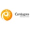 conjugate-consulting