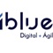 iblue-consulting
