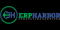 erp-harbor-consulting-services