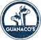 guanacos-estudio