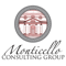 monticello-consulting-group