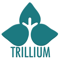 trillium-employment-services