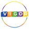 vigor-accounting-consultancy