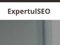 expertul-seo