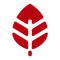 red-leaf-media