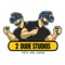 2-dude-studios