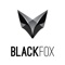black-fox-0