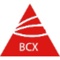 bcx-environmental-consulting