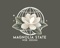 magnolia-state-web-designs