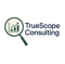 truescope-consulting
