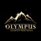 olympus-search-partners