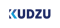 kudzu-web-development-ai-solutions