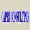 capri-consulting