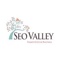seovalley-solutions