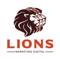 lions-marketing-digital