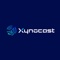 xynocast-consultancy-services