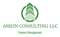 amein-consulting