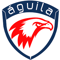 aguila-consulting