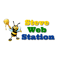 steve-web-station
