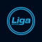 liga-moving