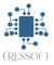 cressoft-consultancy