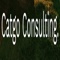 catgo-consulting
