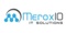 meroxio-it-solutions