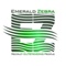 emerald-zebra-cyprus-recruiter-tech-fintech-finance