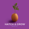 hatch-grow-media