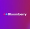 bloomberry-agency