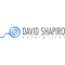 david-shapiro-enterprises